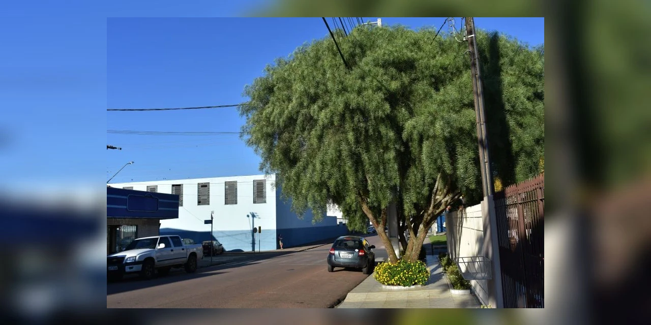 Audiência Pública para discutir plano Municipal de Arborização Urbana