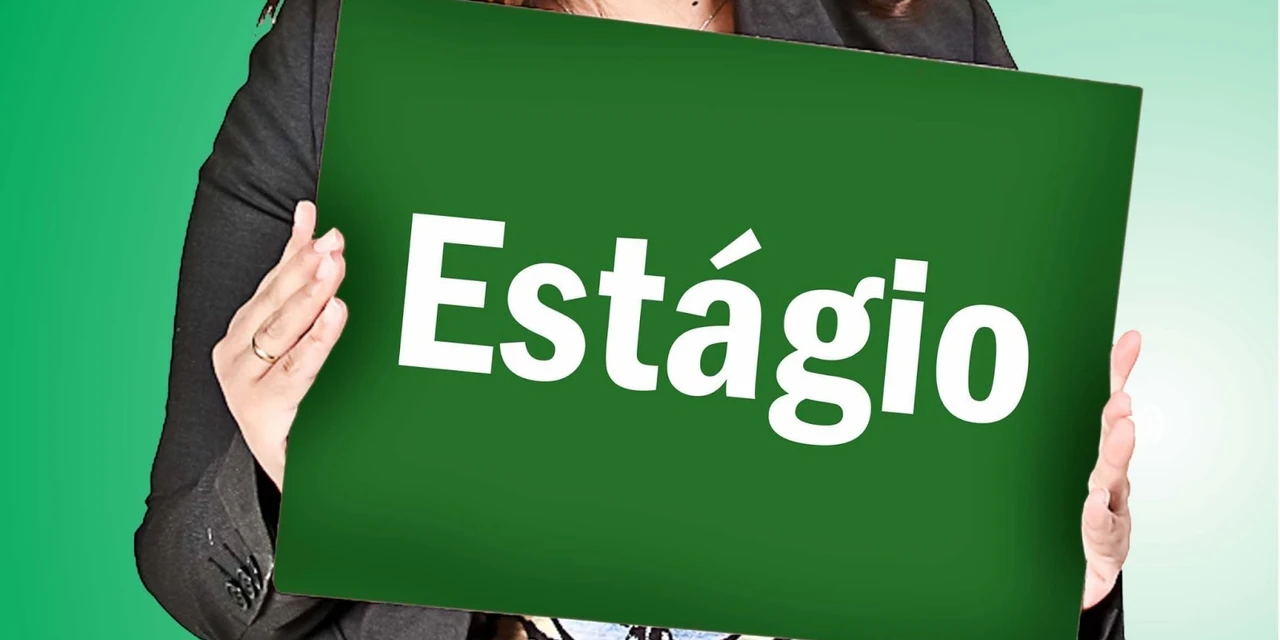 Palmeira abre inscrições para teste seletivo para contratação de estagiários