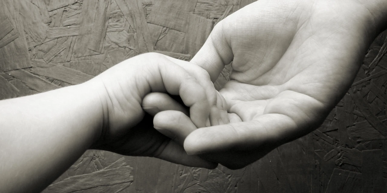 9ª Assembleia dos Conselhos Tutelares será em Carambeí