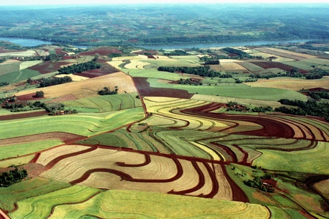 ​​Colégio Agrícola de Palmeira recebe palestra sobre o Prosolo na sexta-feira