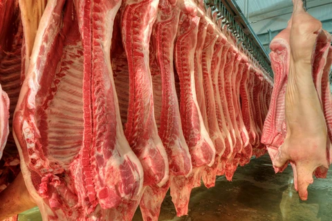 Exportações de carne suína in natura totalizaram 45,2 mil t em janeiro, diz ABPA