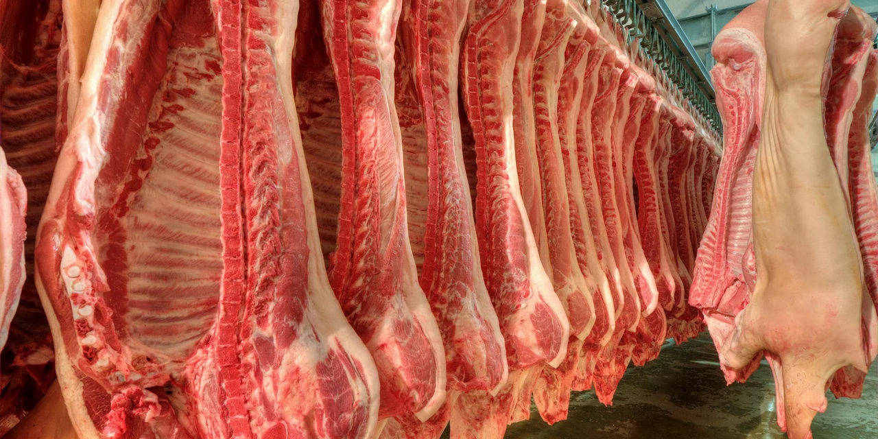 Exportações de carne suína in natura totalizaram 45,2 mil t em janeiro, diz ABPA