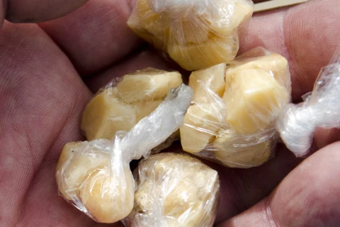 Em Ponta Grossa, PM prende rapaz com 186 pedras de crack