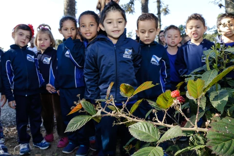 Projeto Conhecendo PG já está com agenda lotada para 2018
