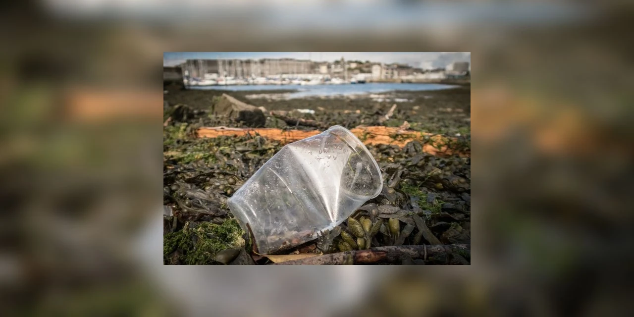 As empresas que mais produzem lixo plástico no mundo