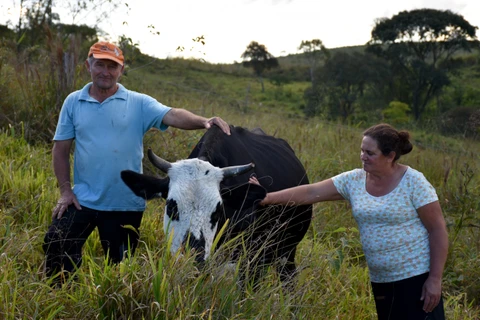 Programa da Klabin promove diversificação e renda para agricultores familiares