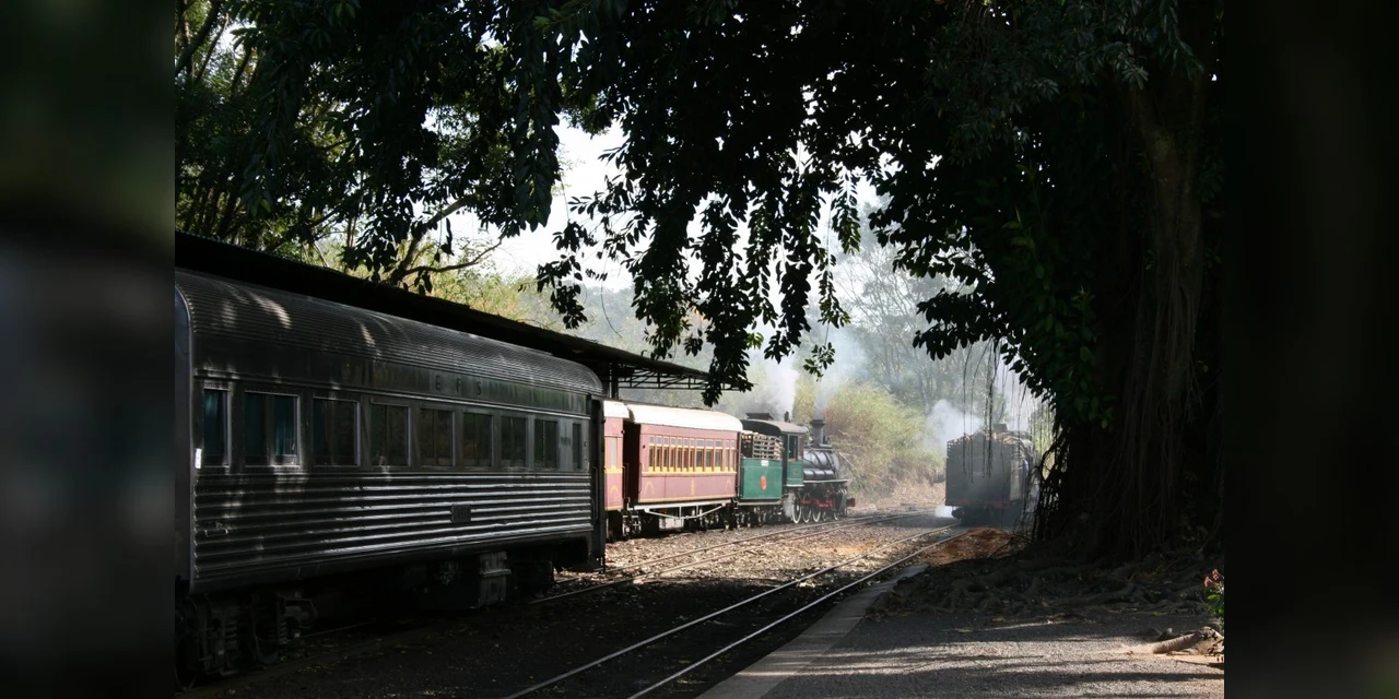 Festa do Colono volta em julho, com passeio de Maria Fumaça