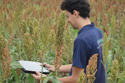 Governo institui Comissão Brasileira de Agricultura de Precisão e Digital