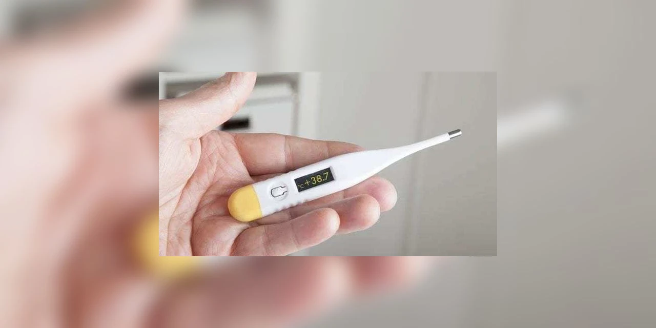 Governo confirma 1ª morte por febre hemorrágica após 20 anos