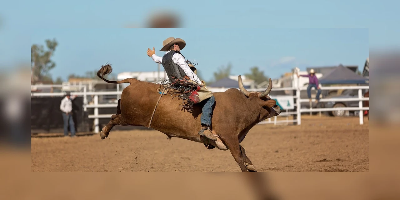 Justiça nega pedido de ONG para proibir rodeios na Expoingá