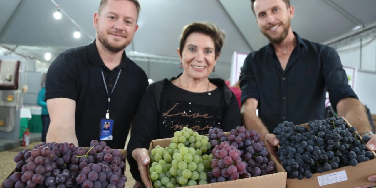 37ª Fesuva inicia com perspectiva de movimentar mais de R$ 500 mil