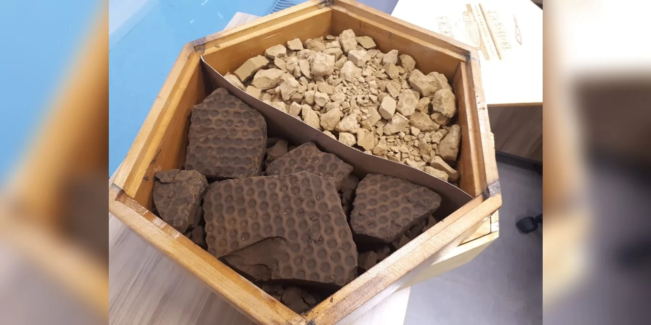 Planta piloto para extração de lignina com tecnologia da Valmet é iniciada