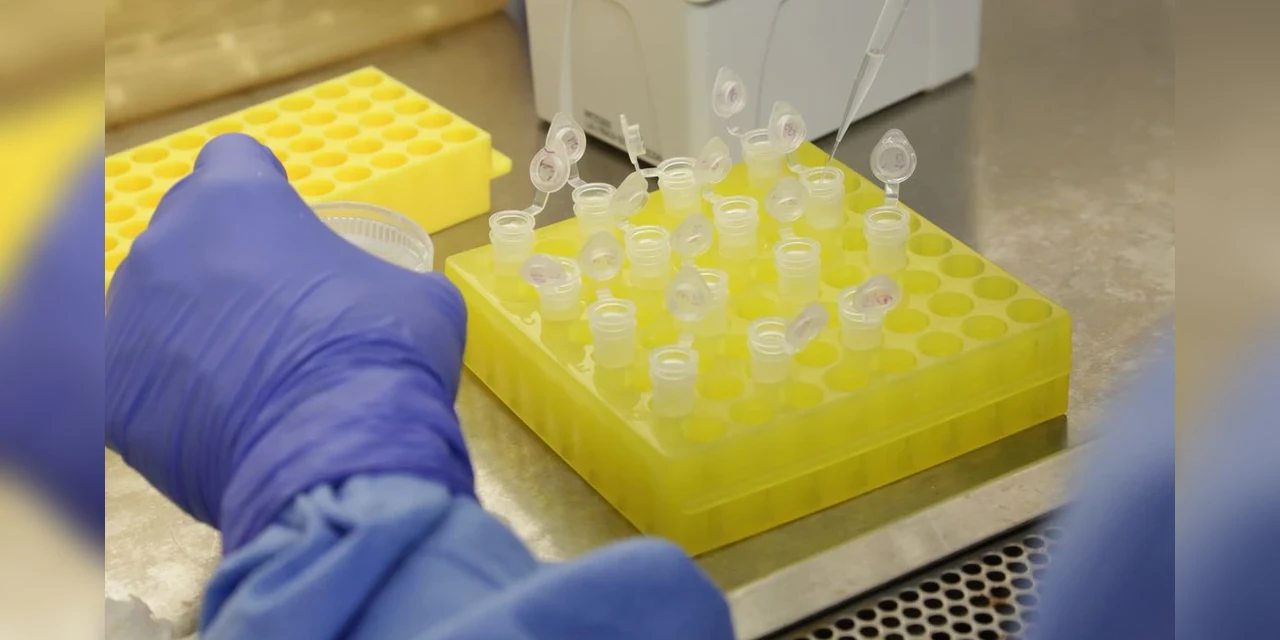 Brasil vai investir R$ 10 milhões em pesquisas do novo coronavírus