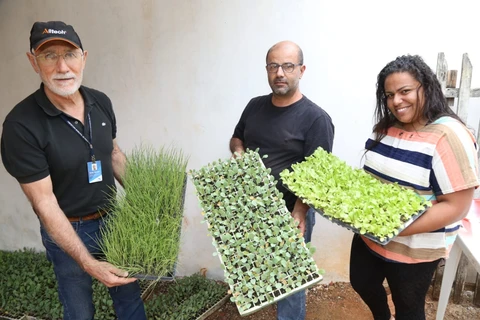 SMAPA entrega 9 mil mudas de hortaliças para famílias do Recanto Verde
