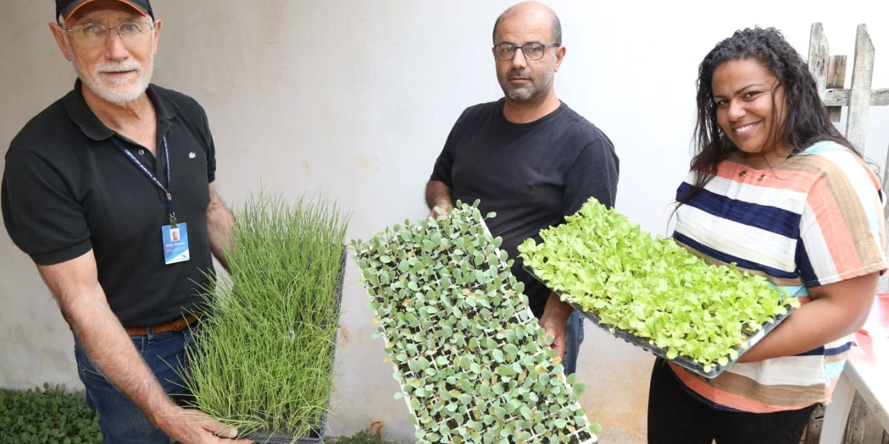 SMAPA entrega 9 mil mudas de hortaliças para famílias do Recanto Verde