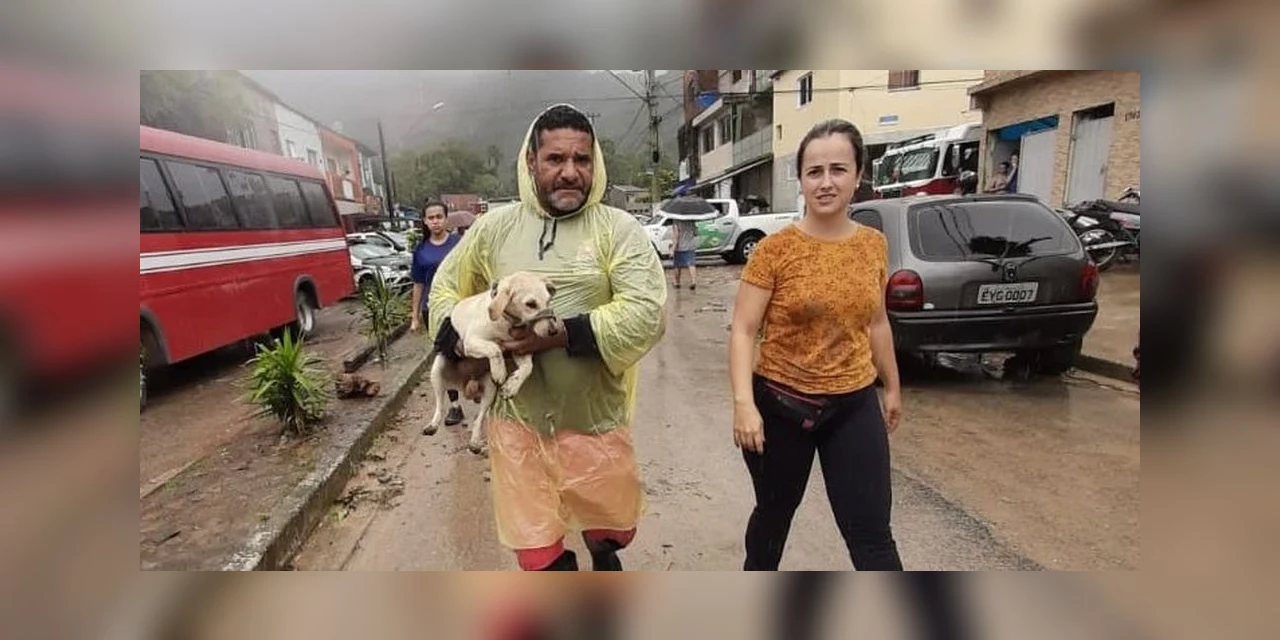 Cão é flagrado cavando e ajuda a achar corpo do dono soterrado após deslizamento no litoral de SP