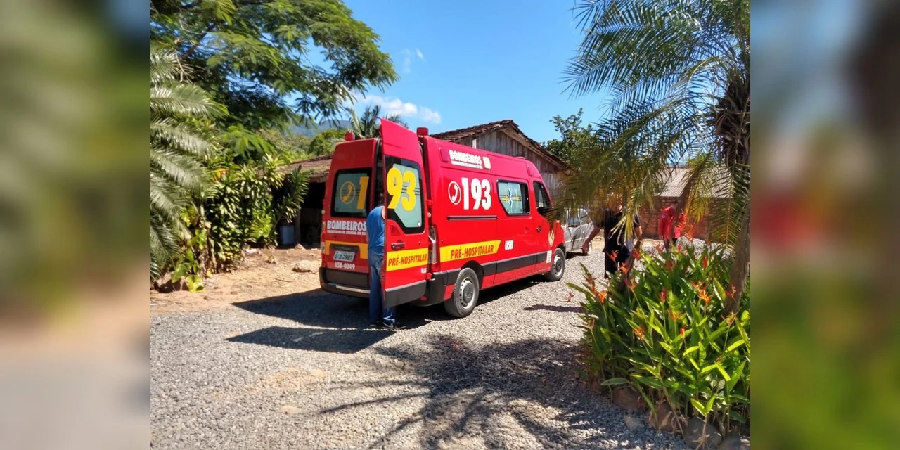 Idosa passa mal e morre após ser atacada por pitbull em Jaraguá do Sul