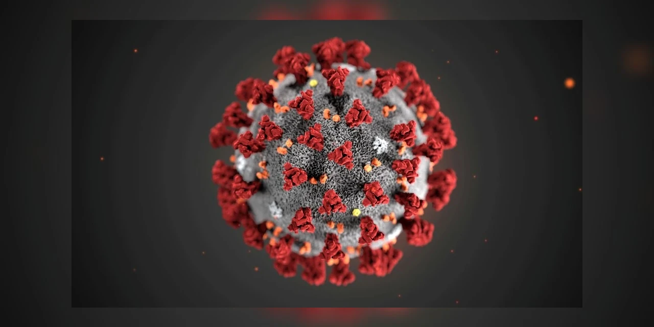 Quanto tempo o coronavírus sobrevive nas superfícies? Estudo aponta que plástico e aço ampliam a sobrevida