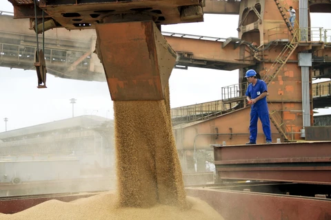 Exportações dos Campos Gerais decrescem 22,1% nos primeiros meses de 2020