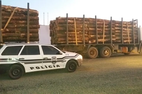 Polícia Civil recupera carga de madeira roubada