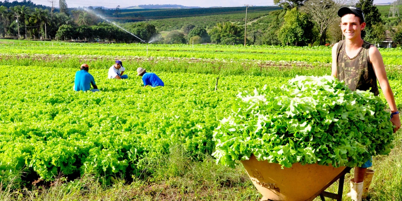 Governo libera R$ 500 milhões para compra de produtos da agricultura familiar