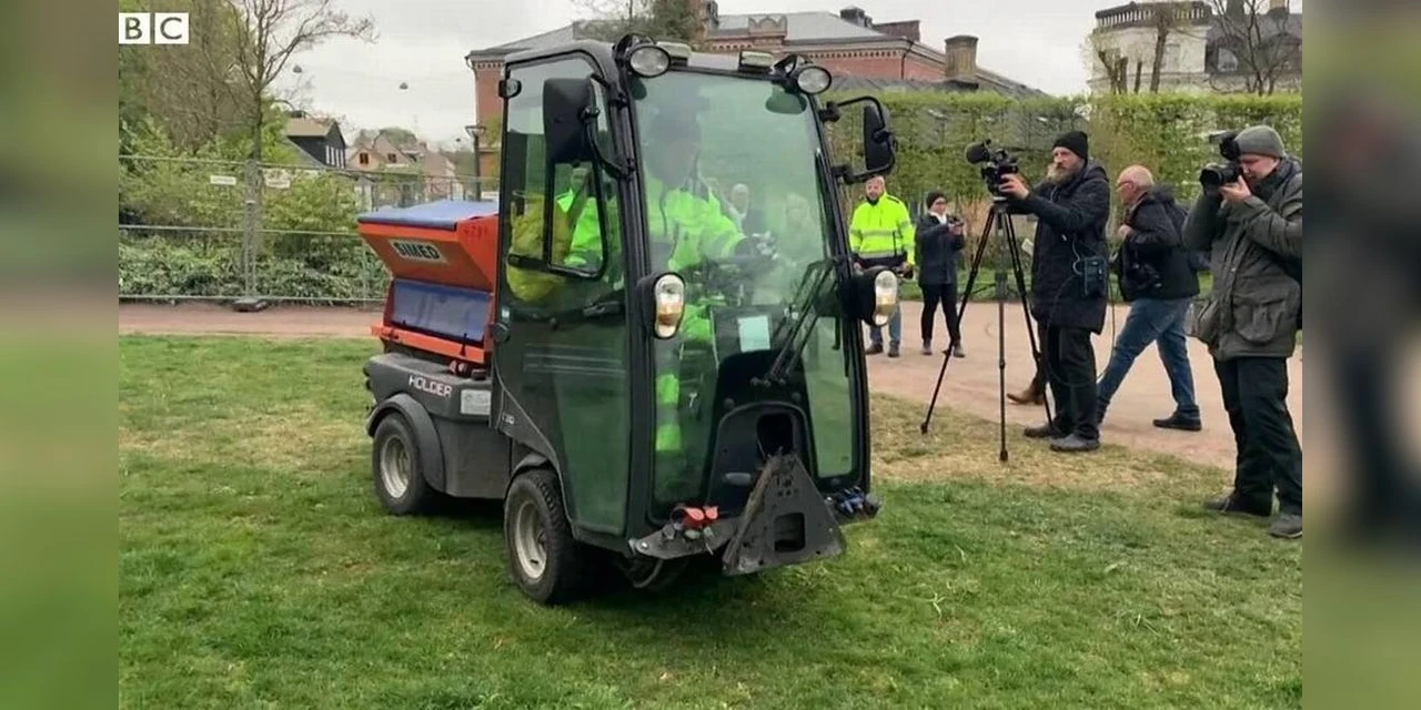 Coronavírus: Cidade sueca usa cocô de galinha para conter disseminação da Covid-19