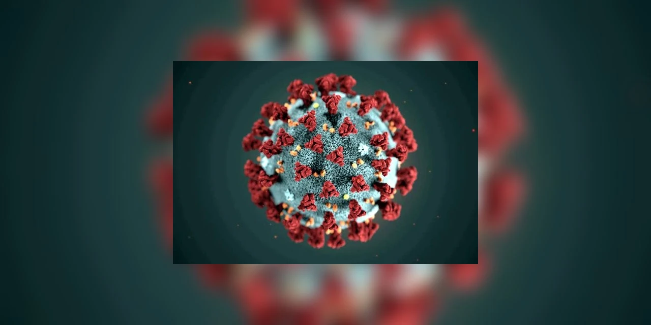 Casos de coronavírus e número de mortes no Brasil em 4 de junho