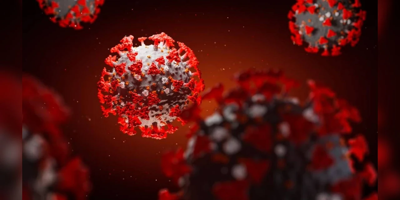 Covid-19: nas últimas 24h, Brasil registra mais de 30 mil novos casos