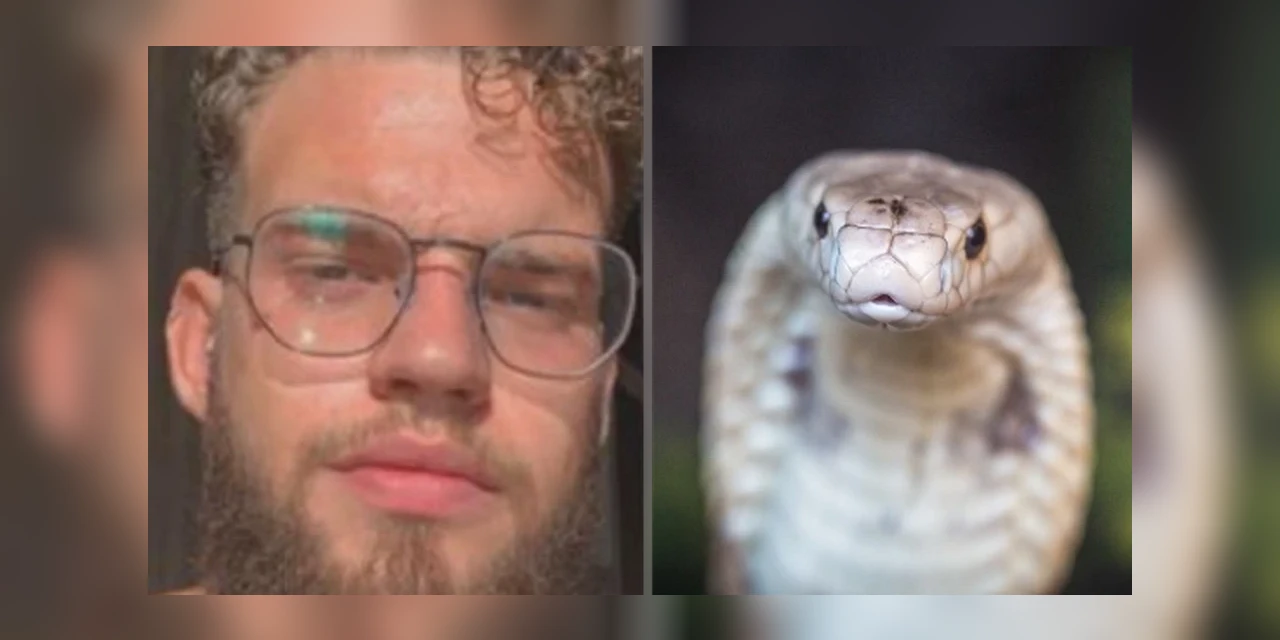 Família e estudante picado por naja no DF serão multados em R$ 78 mil pelo Ibama