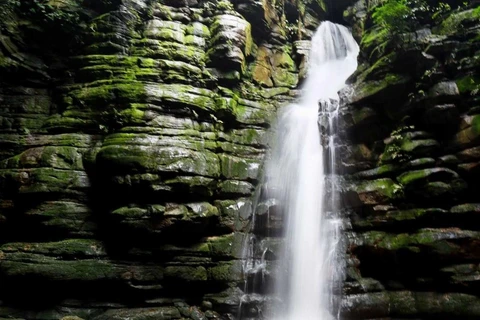 Decreto permite reabertura de parques e libera turismo rural em Ponta Grossa