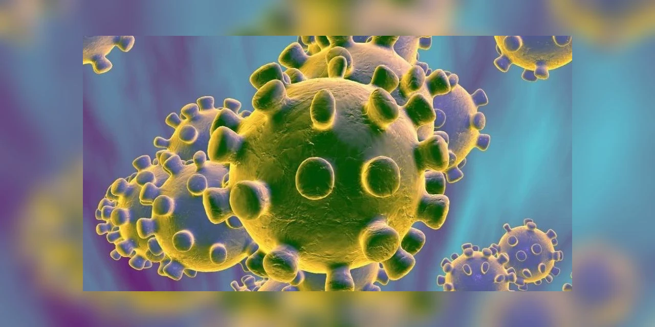 Informe relata mais 1.066 diagnósticos positivos e 45 óbitos por Covid-19