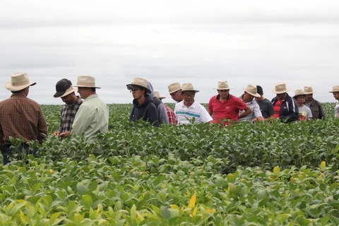 Tec Campo Capal ganha versão online