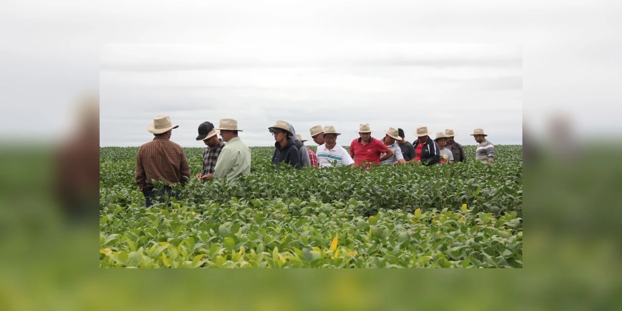 Tec Campo Capal ganha versão online