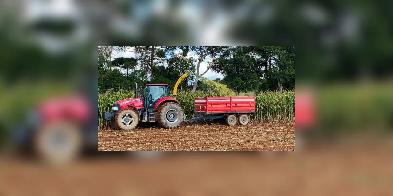 Programa de apoio ao pequeno produtor beneficia população rural e incentiva atividades de subsistência no interior do município