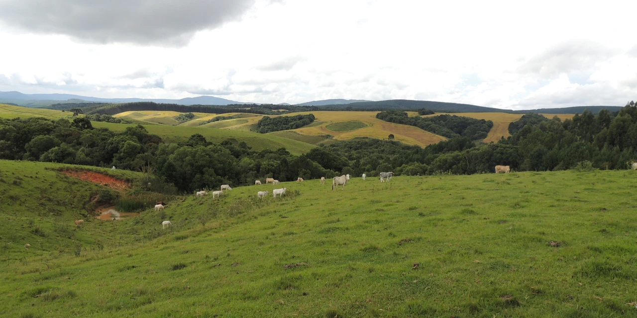 Novos valores de referência para negócio e declaração de terras em Jaguariaíva estão em vigor