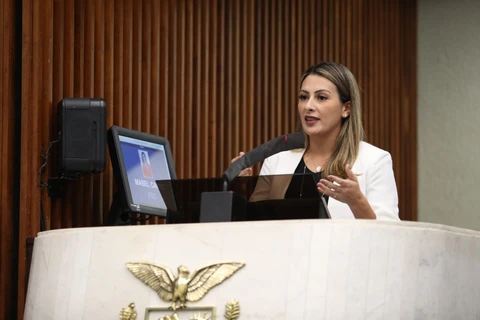 Deputada Mabel Canto quer pagamento de diárias especiais aos servidores da segurança