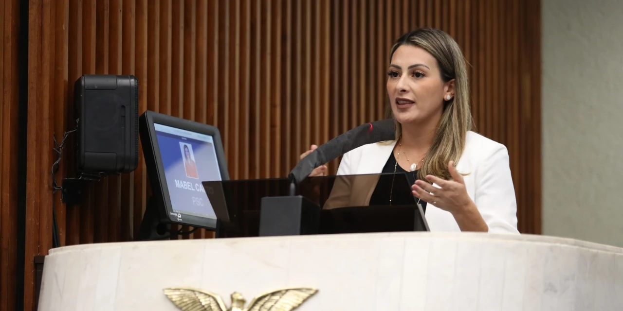 Deputada Mabel Canto quer pagamento de diárias especiais aos servidores da segurança