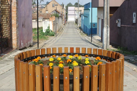 Meio Ambiente realiza plantio de 2,5 mil flores e limpeza do Parque do Museu