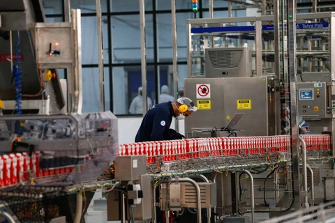 Com bom desenvolvimento, plantio da primeira safra de milho está encerrada no Paraná