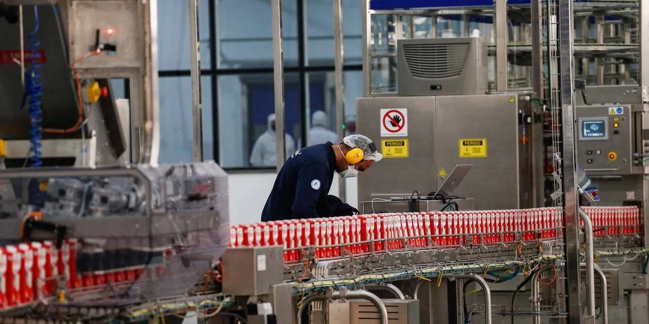 Com bom desenvolvimento, plantio da primeira safra de milho está encerrada no Paraná