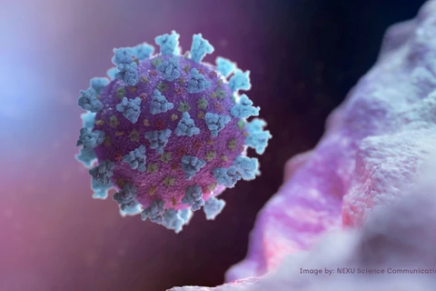 Confirmados 48 casos de Covid-19 no boletim desta quarta-feira (2)