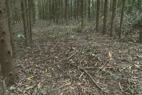 Corpo de mulher é encontrado parcialmente carbonizado e em estado avançado de decomposição