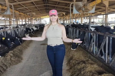 Projeto de Lei cria Diretrizes da Política Nacional de Apoio e Incentivo à Pecuária Leiteira