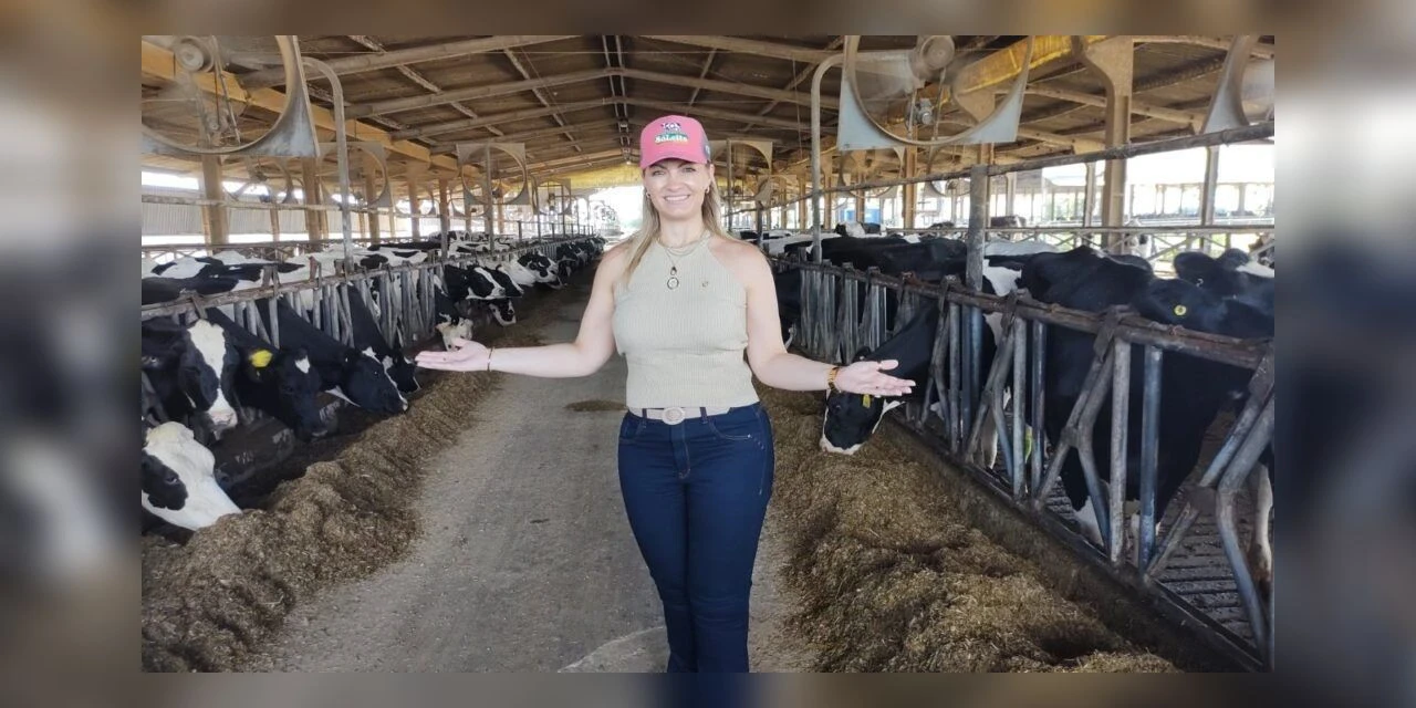 Projeto de Lei cria Diretrizes da Política Nacional de Apoio e Incentivo à Pecuária Leiteira