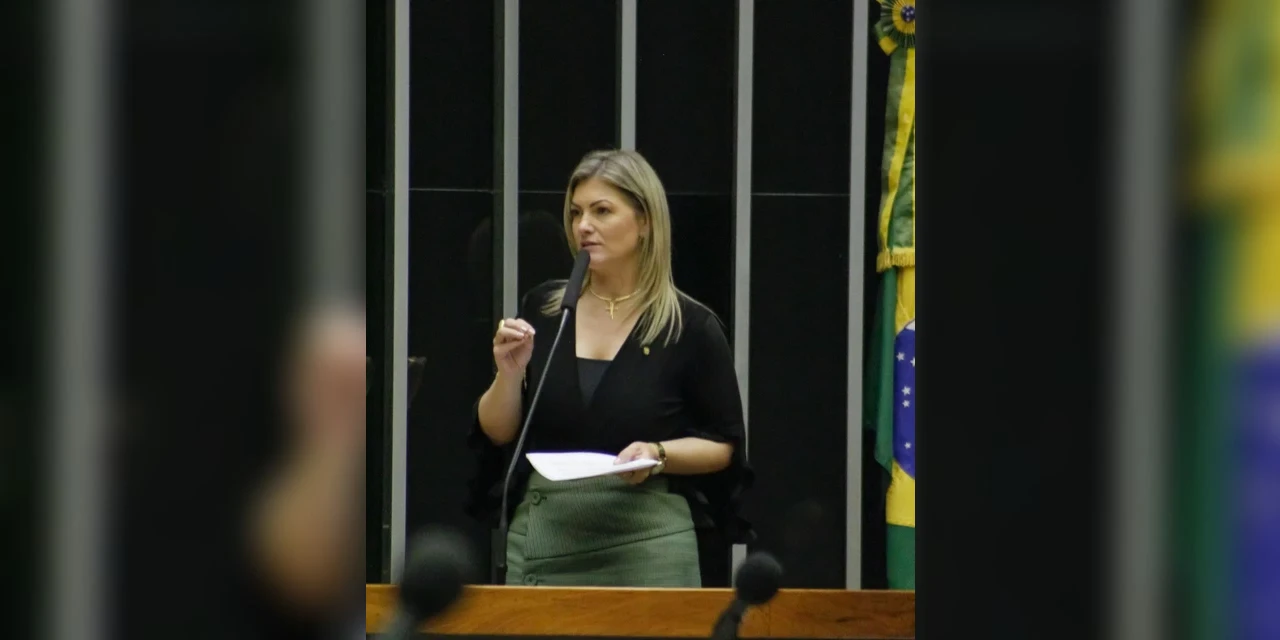 Aline Sleutjes defende projeto que prevê crédito para Plano Safra