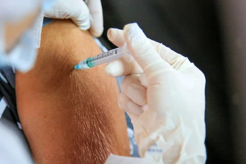 Confira os números do andamento da vacinação contra a Covid-19 em Palmeira