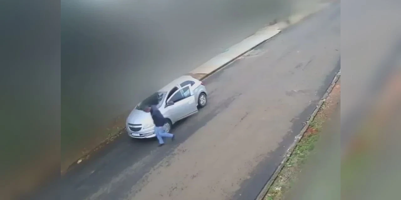 Polícia busca identificar motorista que atropelou cachorro e fugiu sem prestar socorro, em Ponta Grossa