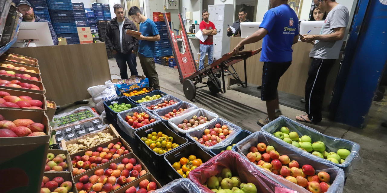 Ceasa/PR indica tendência de preços; veja o que vale a pena comprar em novembro