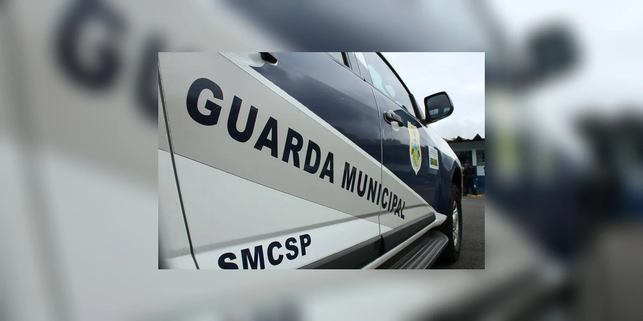 Guarda Civil Municipal registra mais de 420 denúncias de maus tratos animais em 2022