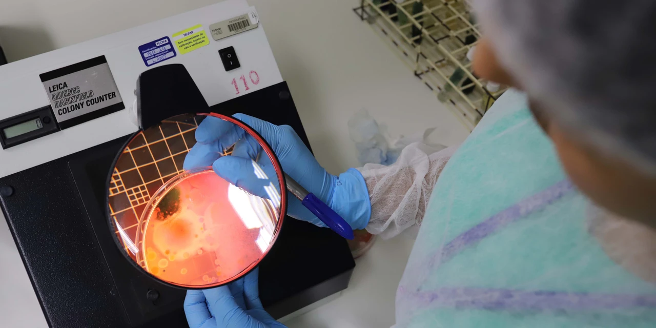 Fundação Araucária liberou R$ 87 milhões para projetos de CT&I em 2022